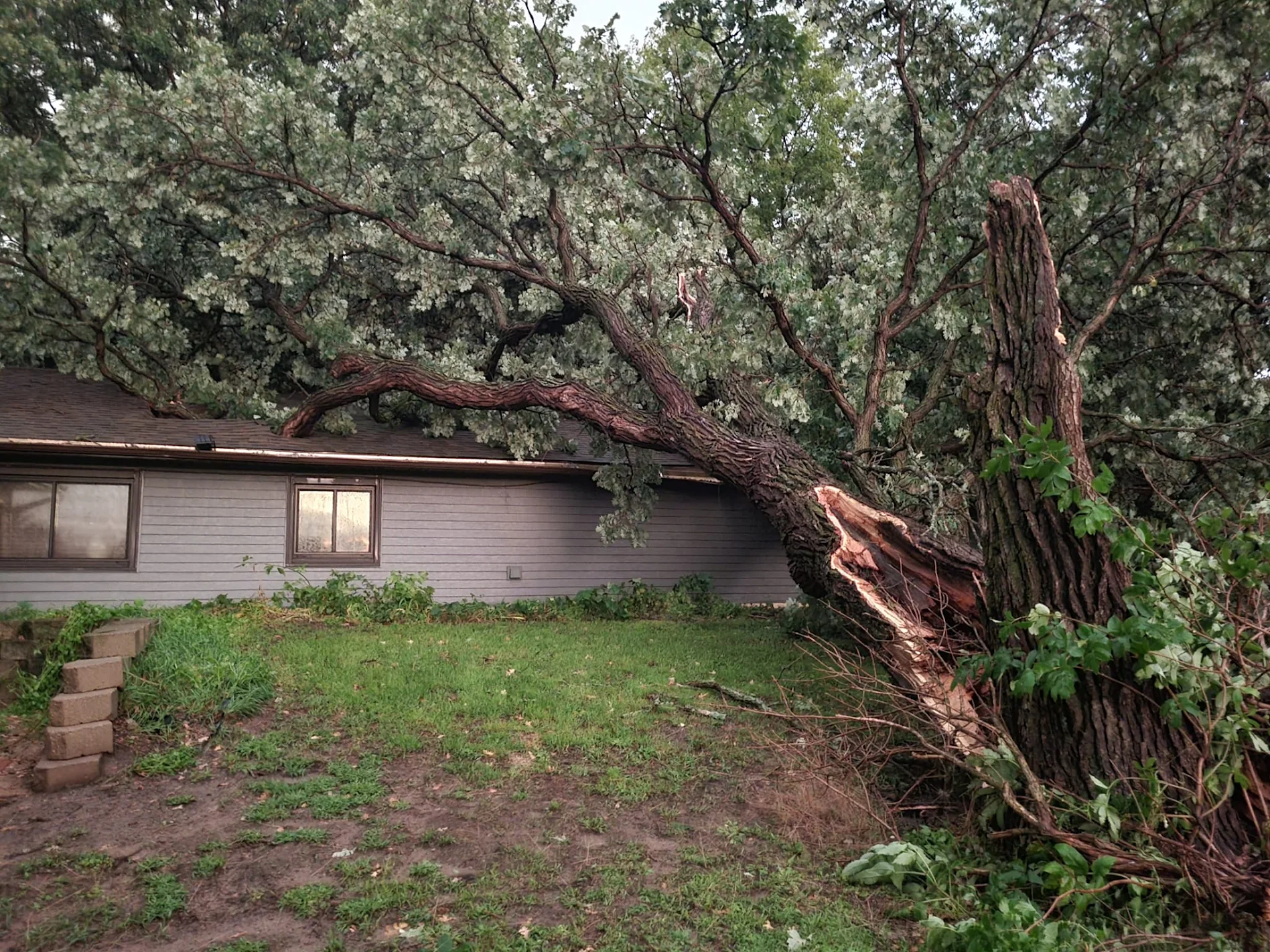 Emergency storm cleanup and tree removal service in Minneapolis by Jake's Top Notch.