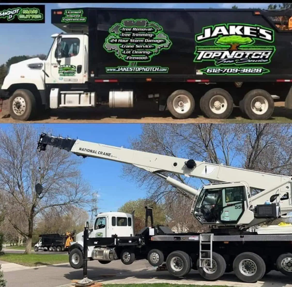 Expert tree services in Onamia, focusing on safe tree removal and storm cleanup.