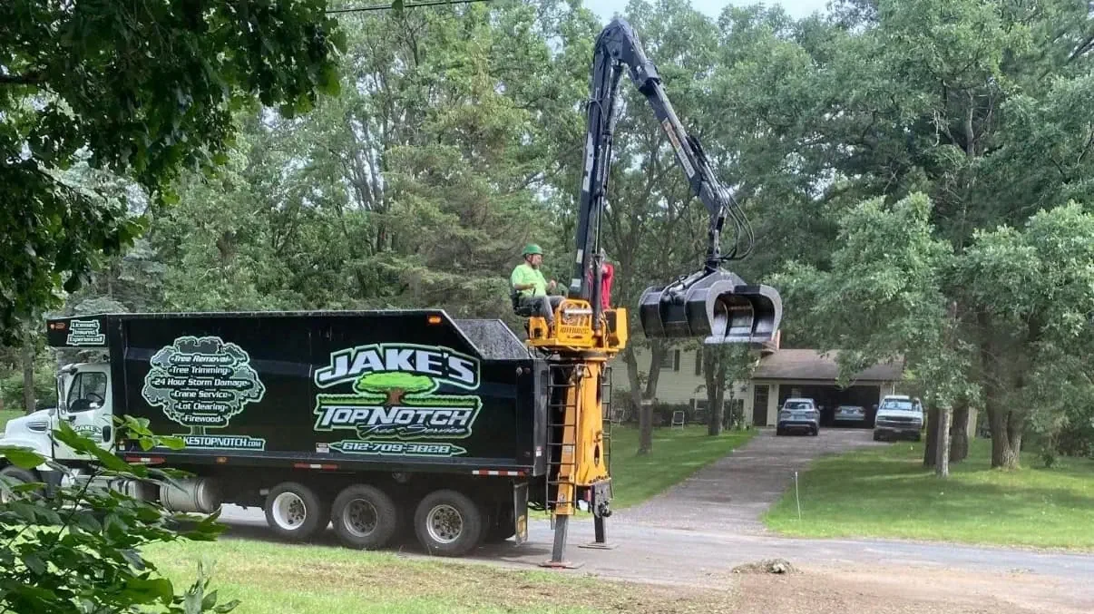 Tree Removal